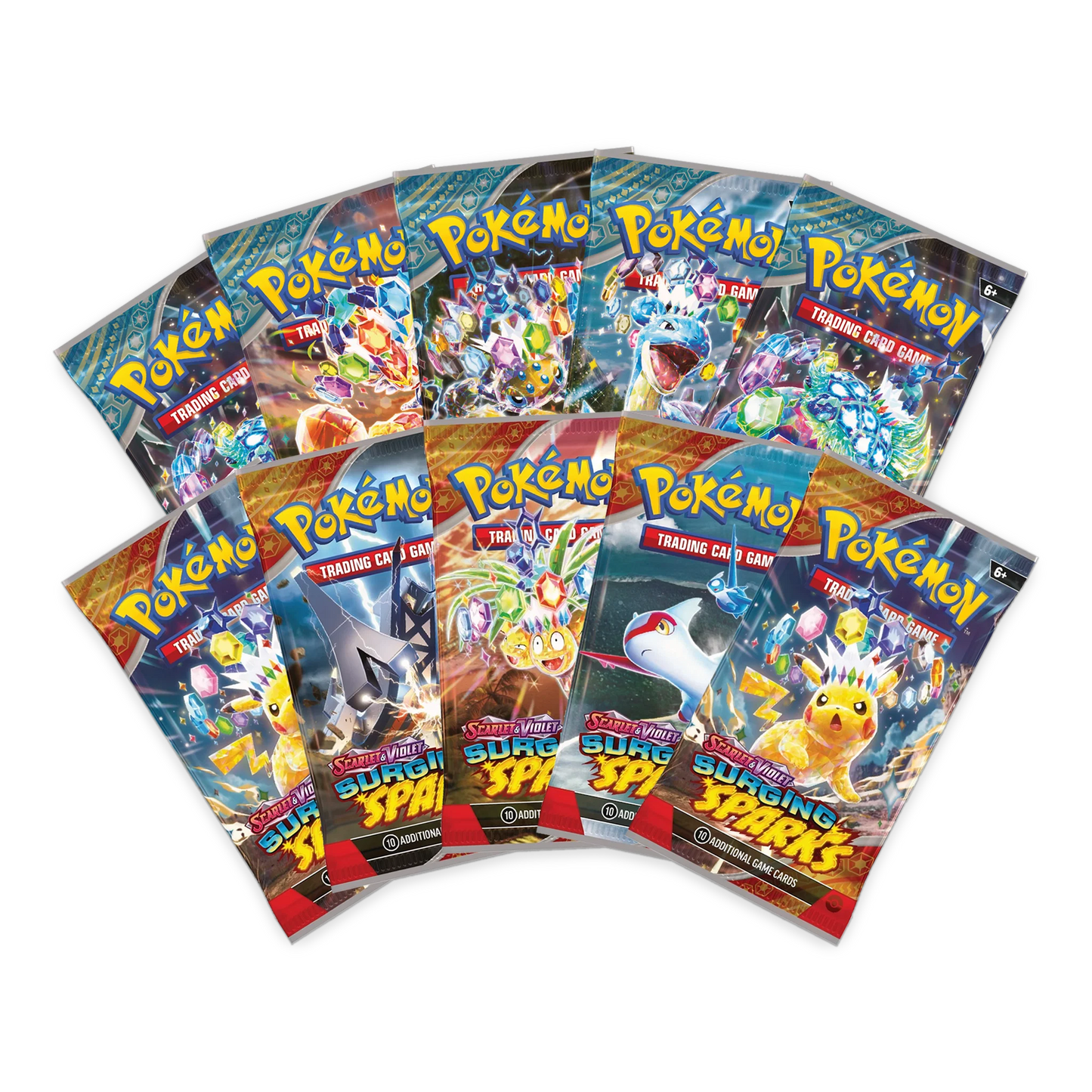 Venusaur ex & Blastoise ex Premium Collection
